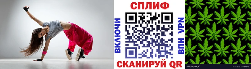 купить   Старица  Каннабис SATIVA & INDICA 
